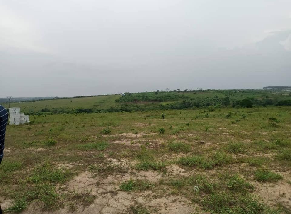 Côte d’Ivoire: Site d’Ahoué (514 Hectares) déclaré d’utilité publique, le décret rentre en vigueur- Toute vente, cession ou occupation du site jugée illégale
