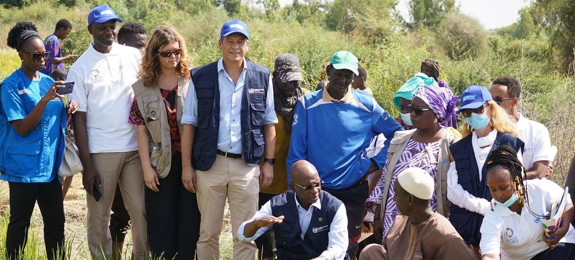 ENTRETIEN – Au Sénégal, le travail des agences des Nations Unies a un impact réel sur la vie des populations