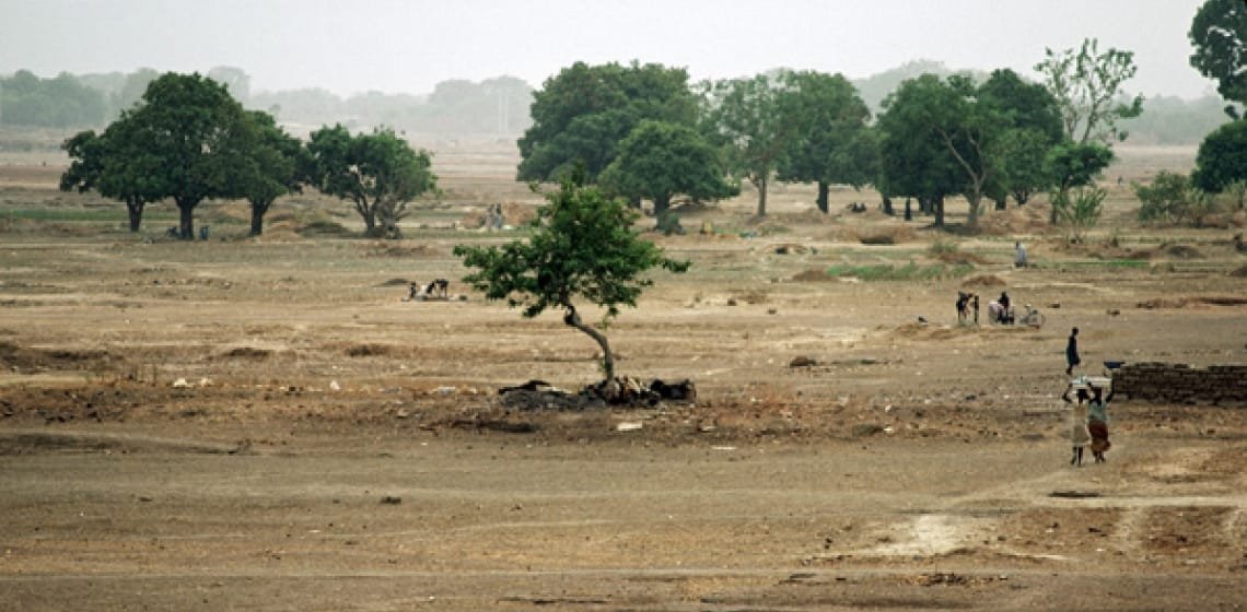 Désertification en Côte d’Ivoire: Le pays a perdu 90% de son couvert forestier