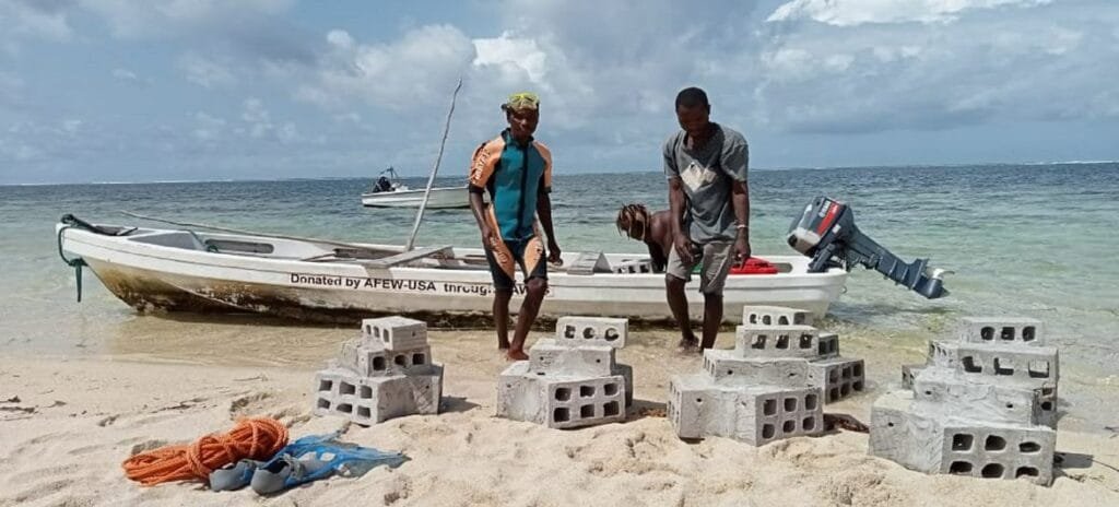 Les coraux sont de retour au Kenya grâce à une initiative locale
