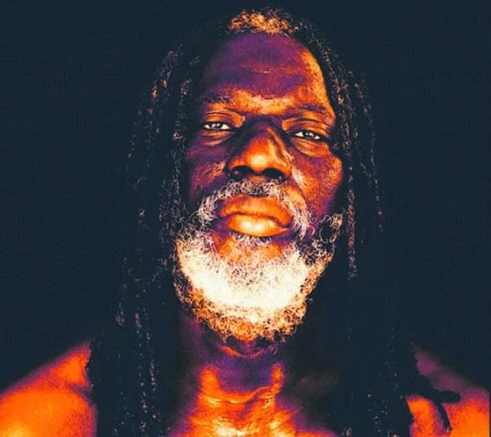 Sortie du nouvel album : Tiken Jah Fakoly toujours égal à lui-même, toujours dénonciateur