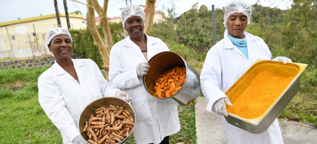 Le pouvoir transformateur de la production alimentaire à l’île Maurice