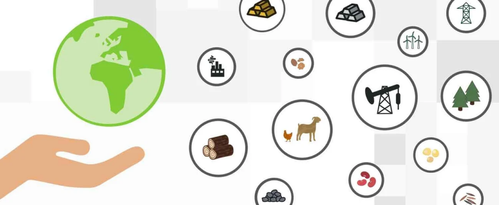 L’Afrique doit repenser la gestion de ses ressources naturelles pour éviter des conséquences socioéconomiques négatives (experts)