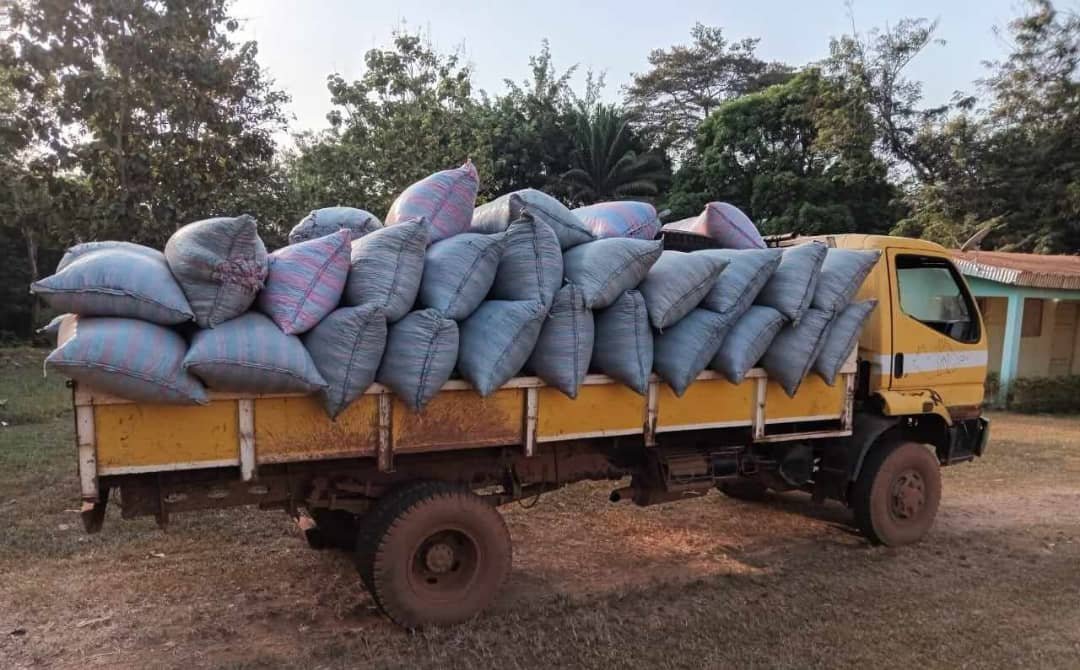 Côte d’Ivoire/Pour achat de 9 tonnes de cacao illégal: Une coopérative convoquée devant le tribunal...