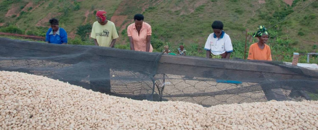 Rwanda : la stratégie pays 2022-2026 de la Banque africaine de développement produit des résultats significatifs à mi-parcours de sa mise en œuvre