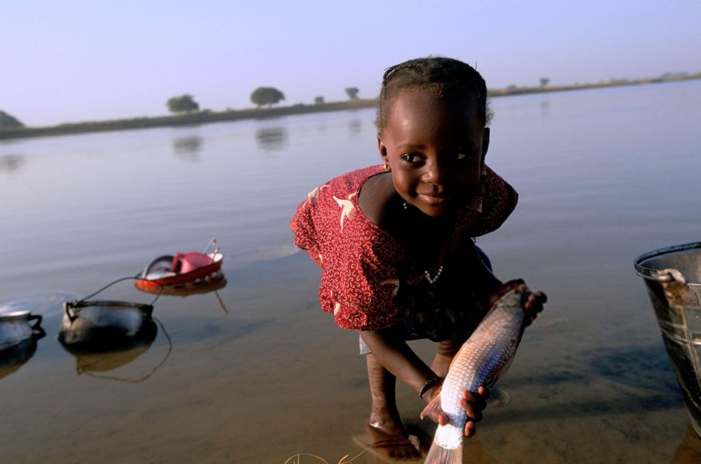 L’OMS confirme que le Niger est le premier pays de la Région africaine à avoir éliminé l’onchocercose