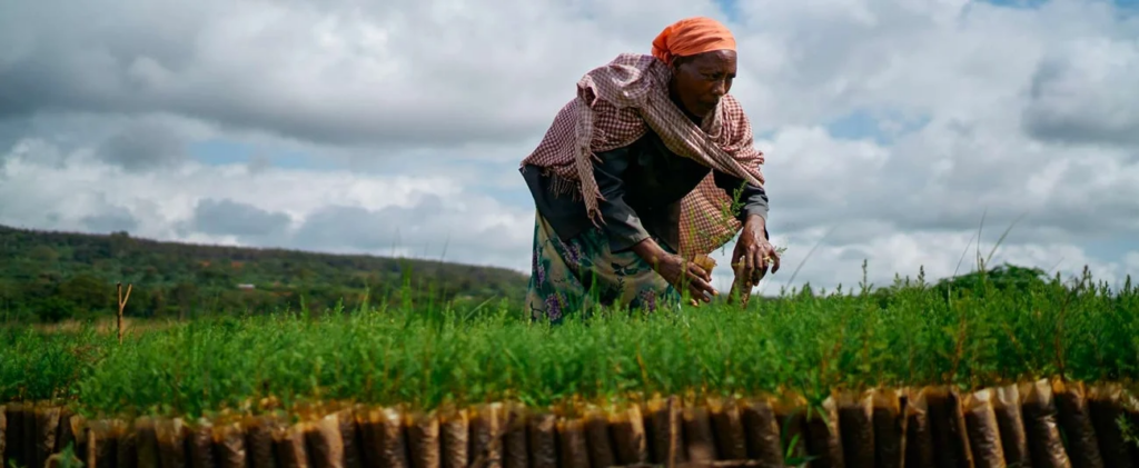 ethiopie le fonds africain de developpement fait un don de 46 millions de dollars pour ameliorer lacces a leau et a lassainissement des communautes pastorales du borana